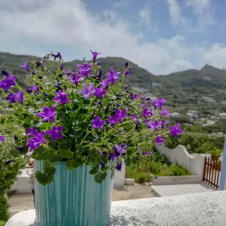 Holiday home Casa Delle Ginestre